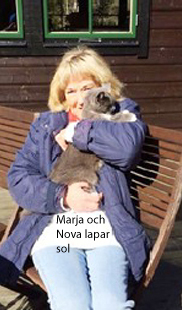 Kattvakt